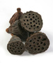 Lotus 2-3 cm 12 pcs