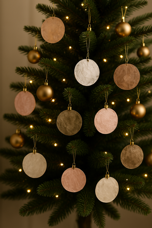 Shells (mother of pearl) 7-11 cm ca. 12 pcs. 0.1 kg