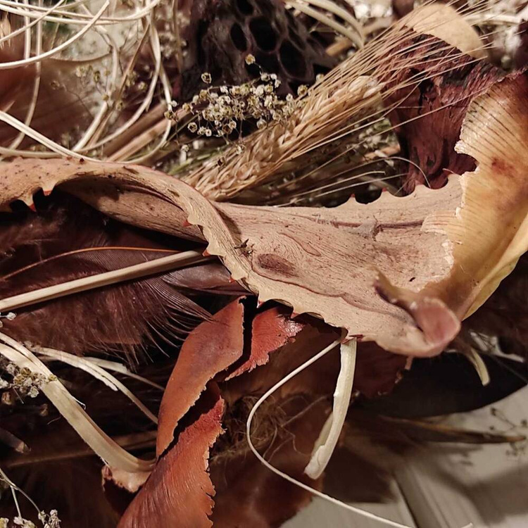 Strauß getrockneter Pflanzen 40-50 cm 