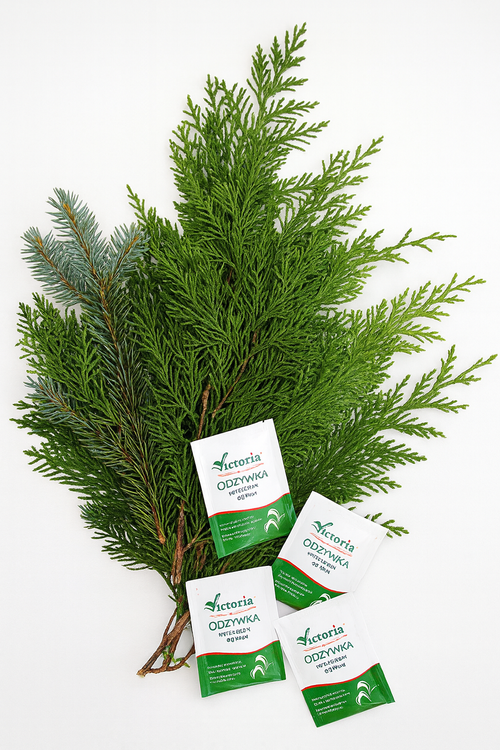 Flower food in sachets 10 pcs/pkg. 