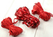 Raphia 3 x 15 m / Breite 2 cm - rot (mix1)
