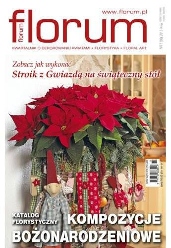  Set mit 12 Florum-Ausgaben für das ganze Jahr mit einer Mappe