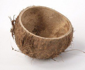 Kokosnussschale 12 cm