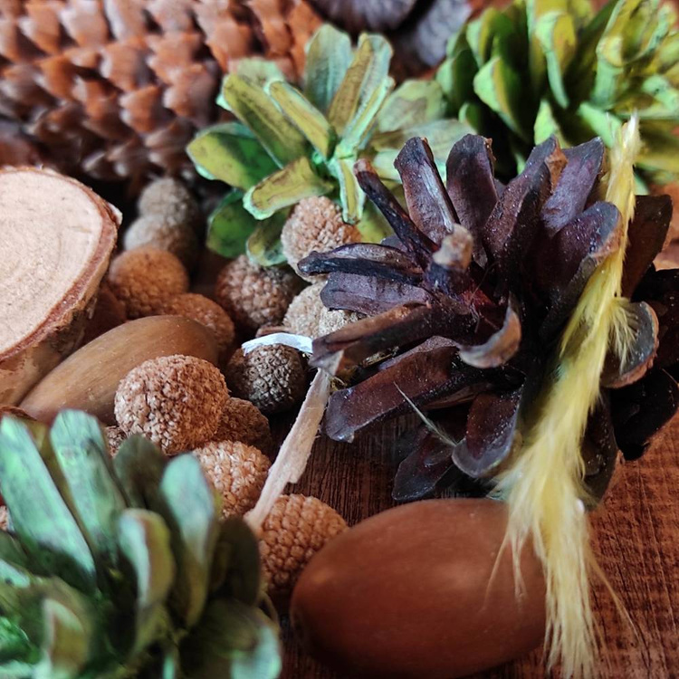 Natural Summer Potpourri 