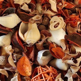 Potpourri Summer 3