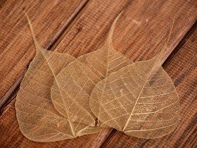 Decorative leaves 10cm 20pcs/pkg gold