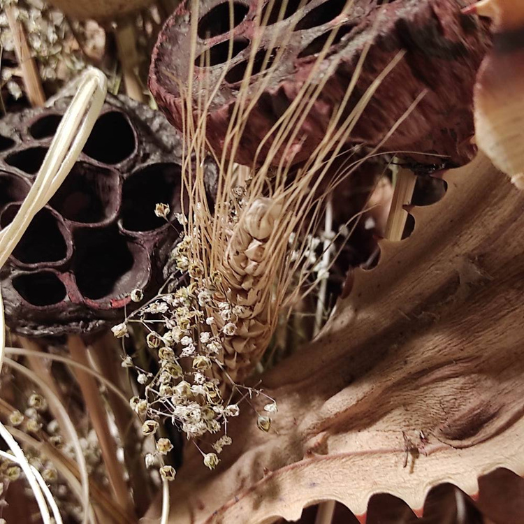 Strauß getrockneter Pflanzen 40-50 cm 