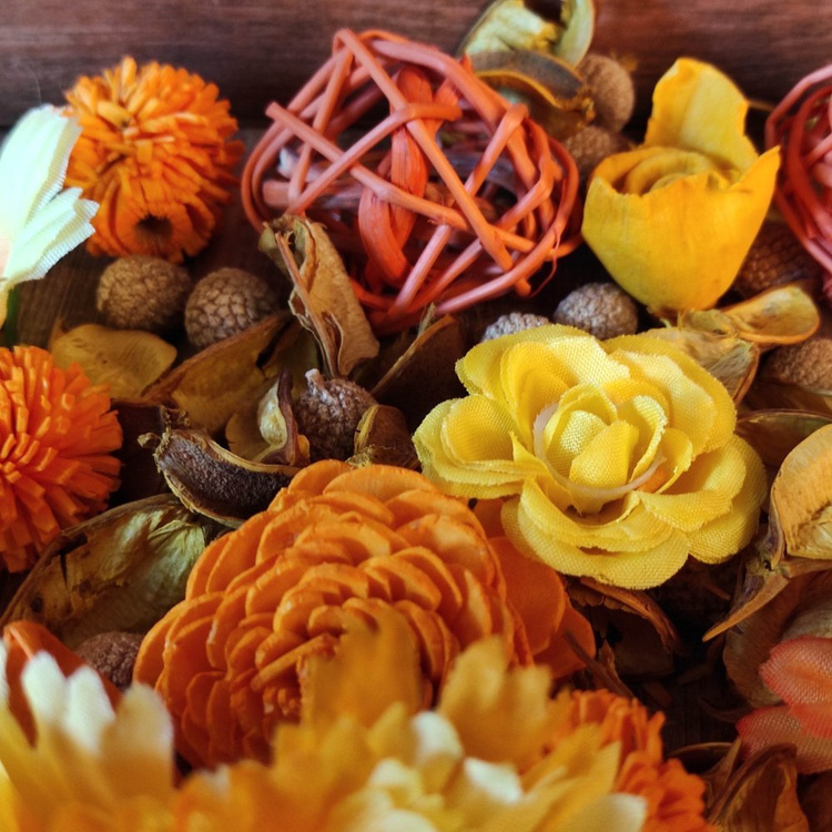 Natural Summer Potpourri 