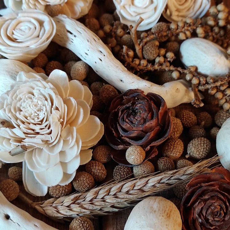 Natural Summer Potpourri 