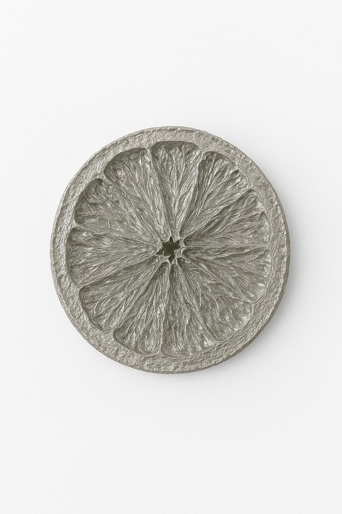 Suszone pomarańcze SREBRNE plastry 12 szt./op. 