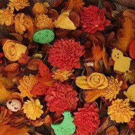 Spring potpourri wz 11