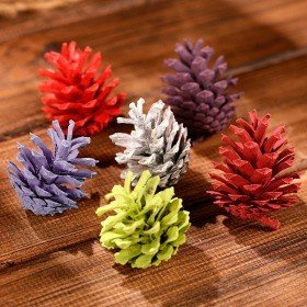 Mountain pine cone, 12 pcs/pkg