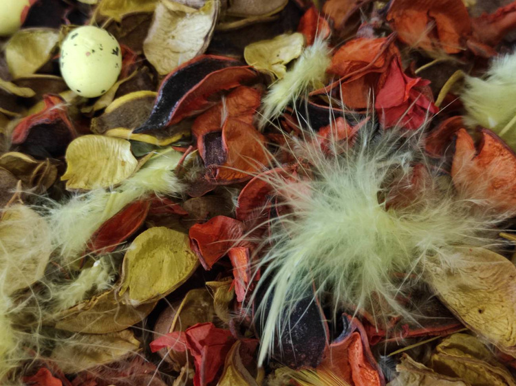 Frühling Potpourri wz 5