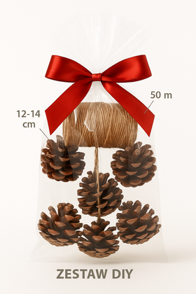 Pinus pinea Kegel 6-8 cm