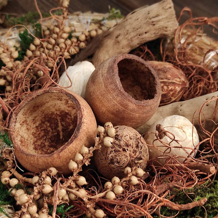 Arrangement of dried plants on a straw wreath of 20 cm 