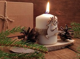 Weihnachtskompositionshirsch im Wald.