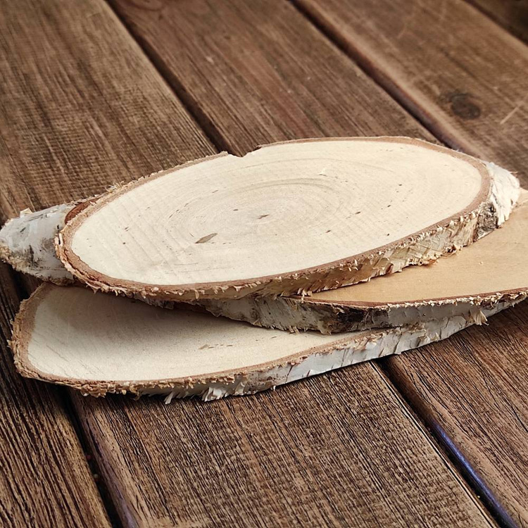 Wood slices for decoration birch 10-20 cm thick. 1-2 cm pack of 3 