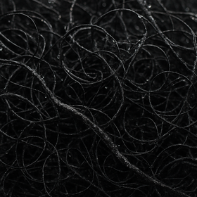 Curly Moos, 30g, Natur