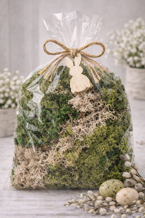Dried bark decorated with moss-5-7 pieces