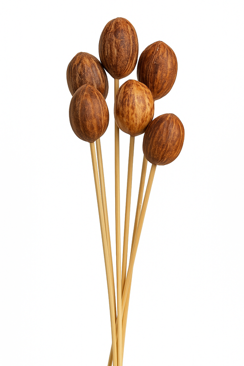 Exotic fruits on stick 6 pcs/pkg - 30 cm, natural