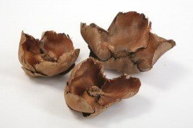 Palm cup, natural, 8 pcs/pkg