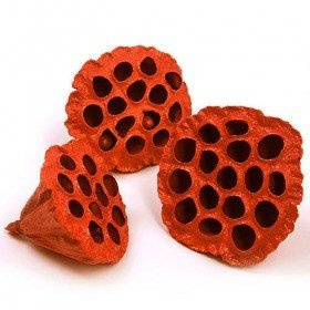 Lotus dyed diameter 6-8 cm 6 pcs/pkg orange