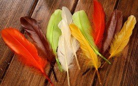 Feathers 19 cm 10 pcs/pkg - mix