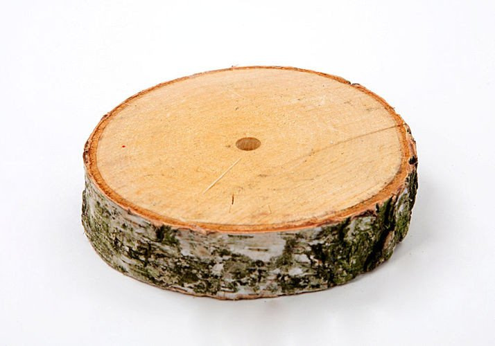 Scheibe von Birkenholz 6-8 cm mit Stäbchen 40 cm