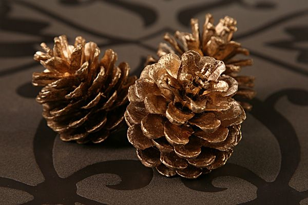 Pine cone, golden 12 pcs/ pkg