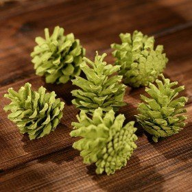 Mountain pine cone, 12 pcs/pkg green