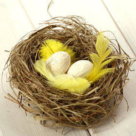 Naturnest mit Eiern, ca. 10 cm