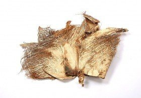 kora palmy zlota  4/op