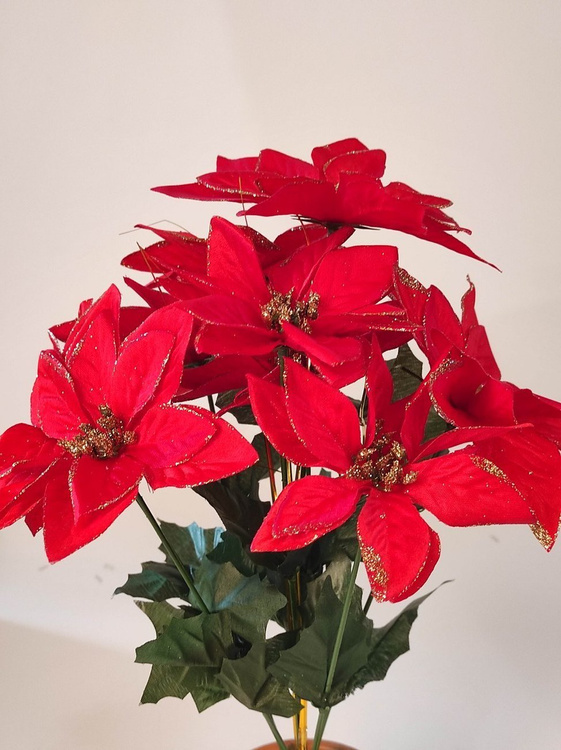 Weihnachtsstern (Stern von Bethlehem) Samt 7 Blumen 38 cm