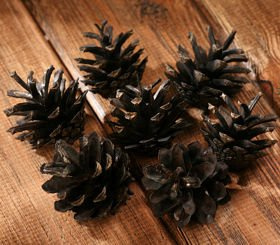 Cone 12pcs./pack
