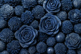 Trockene Blumen - versilbert 2-3 cm  30 Stck