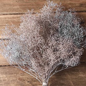 Gypsophila weißer Haufen