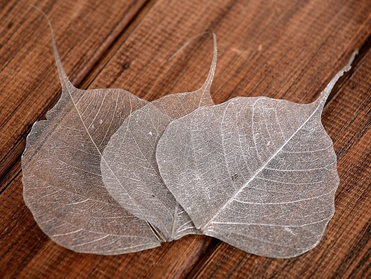 Decorative leaves 10cm 20pcs/pkg silver