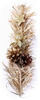 Christmas peak wz 8