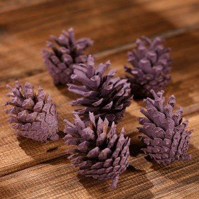 Mountain pine cone, 12 pcs/pkg, purple