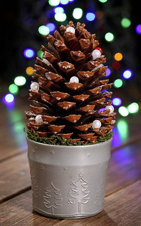 cone on a birch base