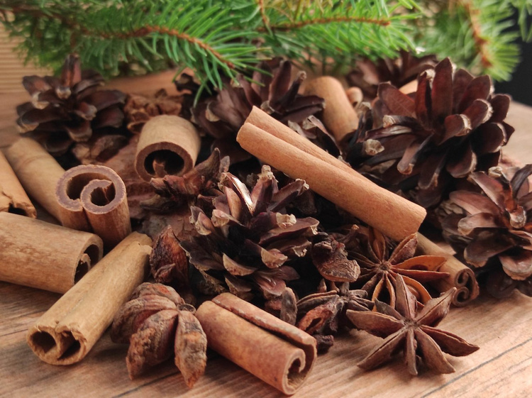 Winter potpourri with cinnamon, pine cones, anise