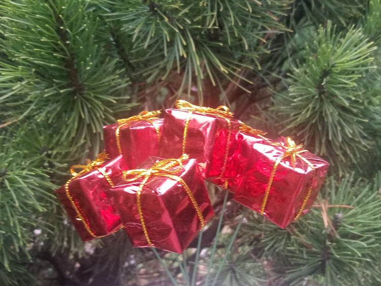 Geschenke am Drähtchen 6 Stck - rot