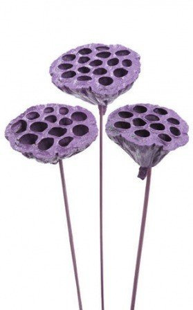 Lotos am Stäbchen gefärbt Durchmesser 6-8 cm 6 Stck helles Violett