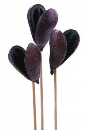 Backen am Stock, 10 Stück / Pkg - marineblau