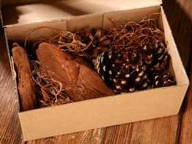 Decorative set, forest style , natural