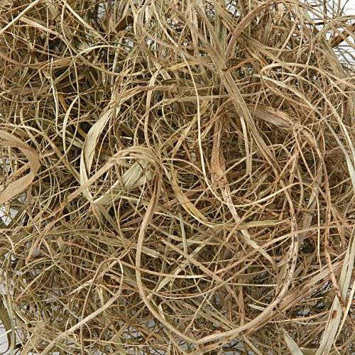 Norwegisches Moos 50g grün