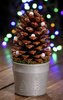 Arrangement silver cone 