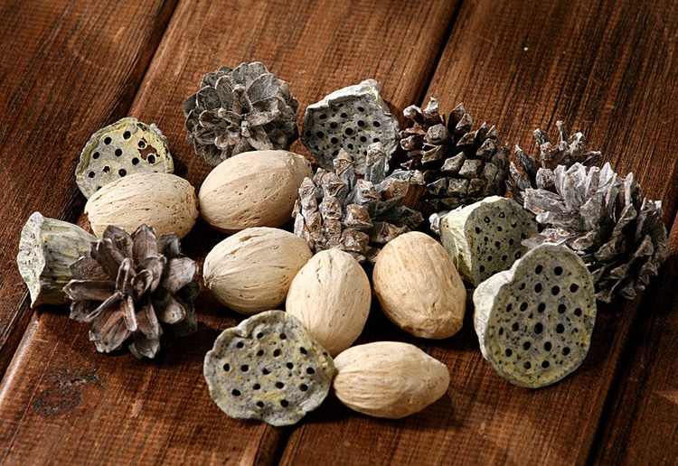 White set of dried plants 