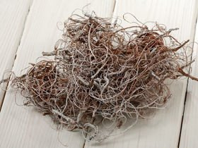 Curly Moos, 30g g, gebleicht