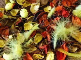 Spring potpourri wz 5